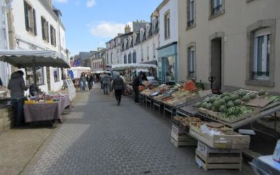 Ökomarkt am Bonner Münster