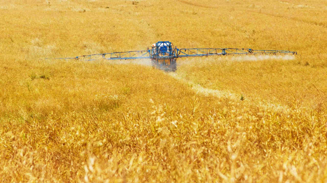 Traktor bringt Herbizid auf Getreidefeld aus