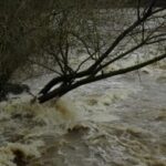 Nostalgie- Mangelnder Hochwasserschutz gefährdet Fauna und Flora
