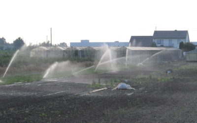 Wasserverbrauch in der Landwirtschaft