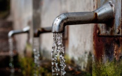 Trinkwasser – immer ein guter Durstlöscher