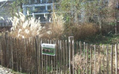 Der Garten der Bildung