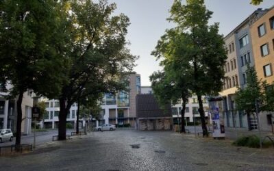 Fünf Jahre – Ein beispielhafter Rückblick auf die Bonner Legislatur (2020-2025)
