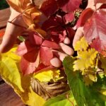 Schwerpunkt: Bunter Herbst