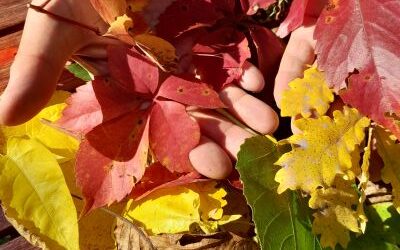 Schwerpunkt: Bunter Herbst