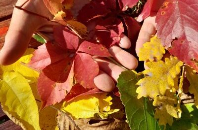 Schwerpunkt: Bunter Herbst
