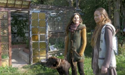 Von der Kunst, Kreisläufe kreativ zu schließen