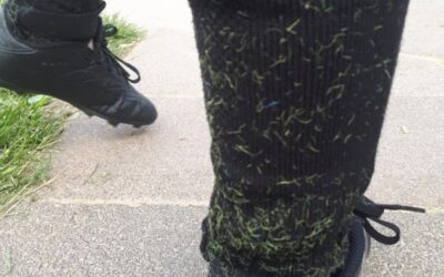 Polyethylen im Gehirn und im Kunstrasen