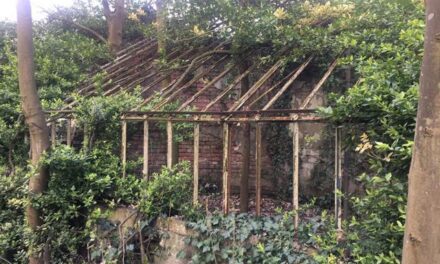 Schwerpunkt: Neues Leben für vergessene Orte