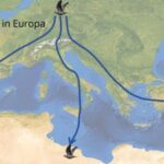 Aus dem Archiv: Bonnerinnen und Bonner organisieren Einsätze gegen die Zugvogeljagd