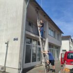 Ein Erfahrungsbericht über „Schwalbenhilfe“ in Friesdorf