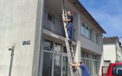 Ein Erfahrungsbericht über „Schwalbenhilfe“ in Friesdorf